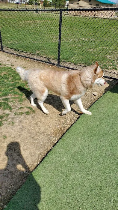 Breck Community Dog Park 4