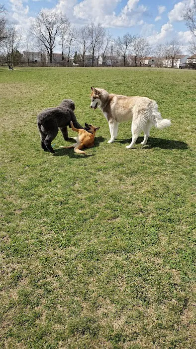 Breck Community Dog Park 5