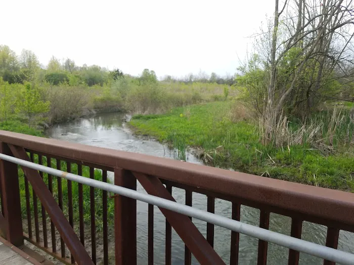 Spindler Dog Park 8