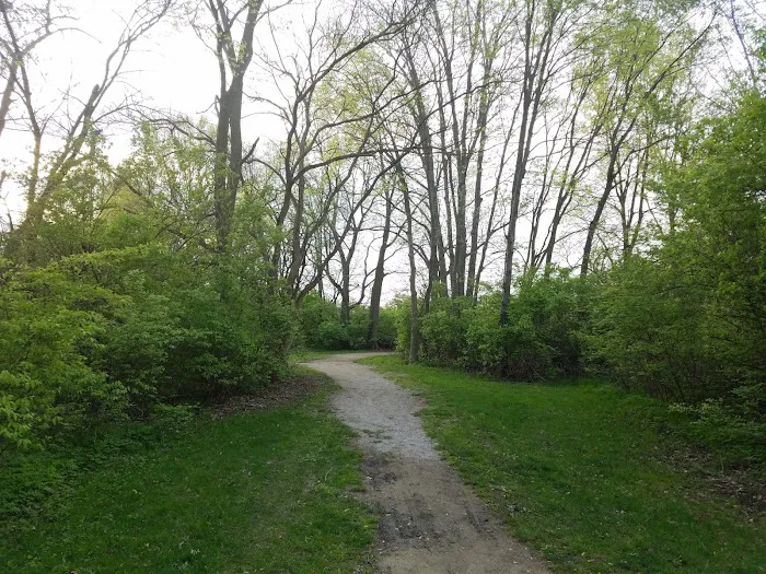 Spindler Dog Park 9