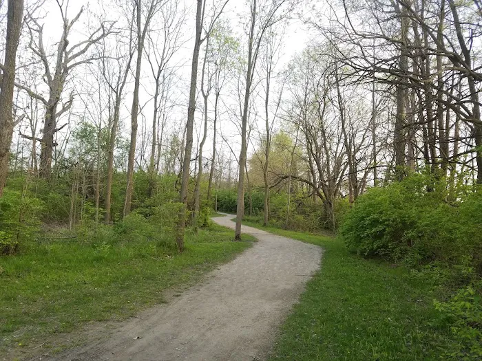 Spindler Dog Park 6