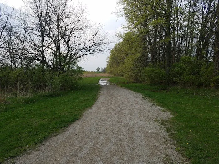Spindler Dog Park 7