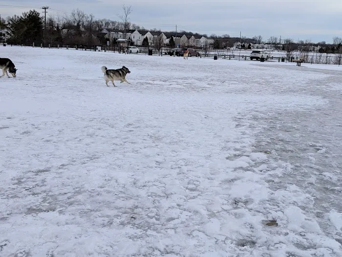 Spindler Dog Park 7