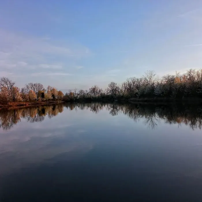 Spindler Dog Park 5