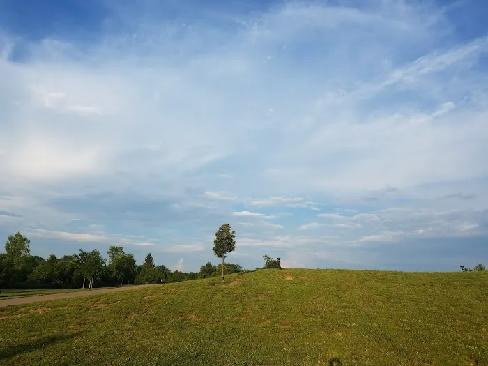 Spindler Dog Park 3