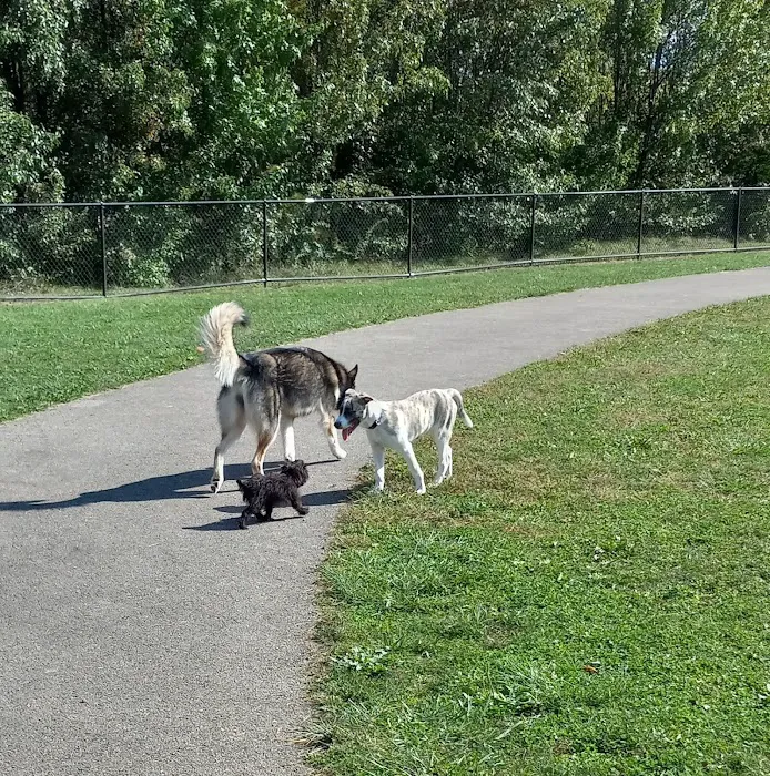 Spindler Dog Park 6