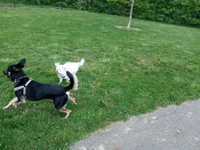Spindler Dog Park 1