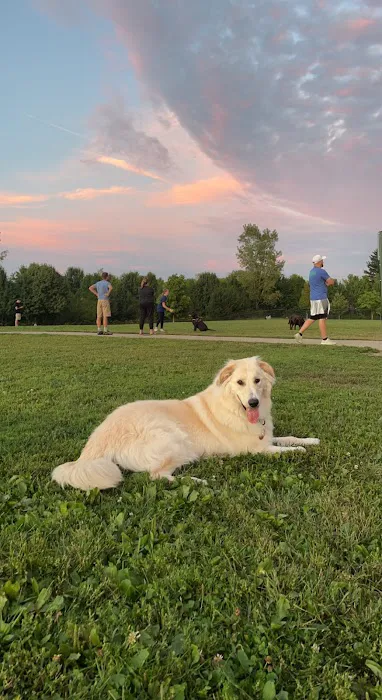 Spindler Dog Park 9