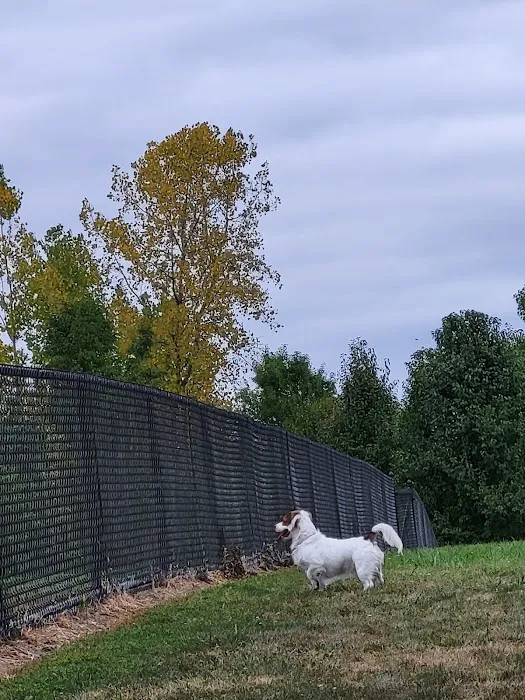 Spindler Dog Park 8