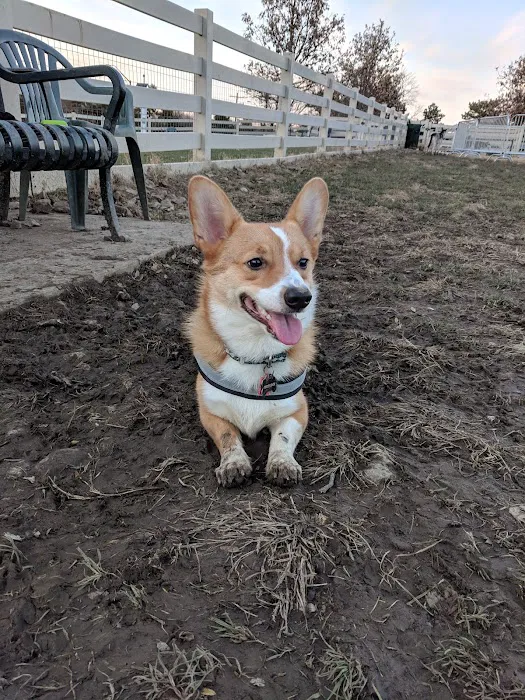 Brooksedge Park Bark Park 8