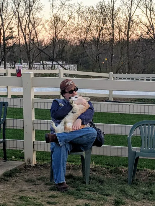 Brooksedge Park Bark Park 7