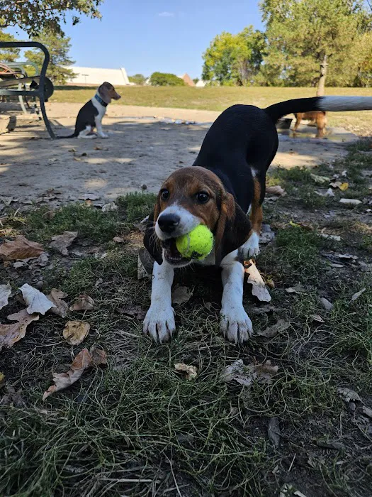 Brooksedge Park Bark Park 4