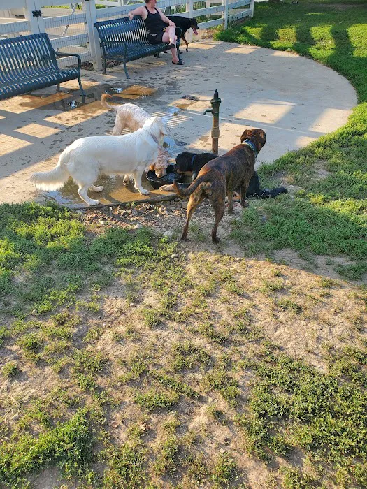 Brooksedge Park Bark Park 9
