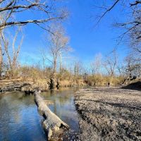 Walnut Woods Dog Park ico