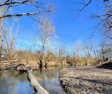 Walnut Woods Dog Park