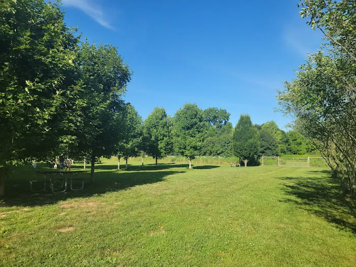 Walnut Woods Dog Park 7