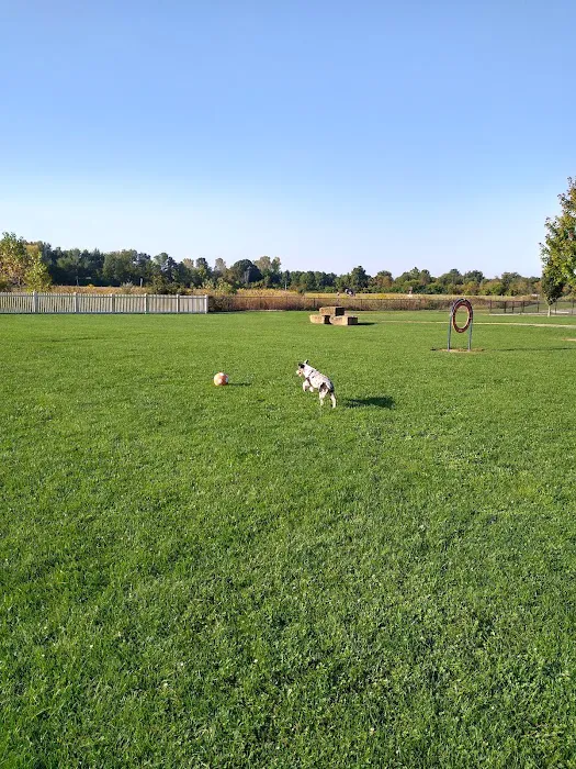 Darree Fields Dog Park 3
