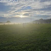 Darree Fields Dog Park ico
