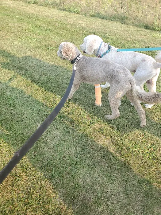 Darree Fields Dog Park 4