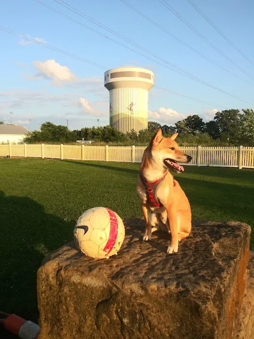 Darree Fields Dog Park 8