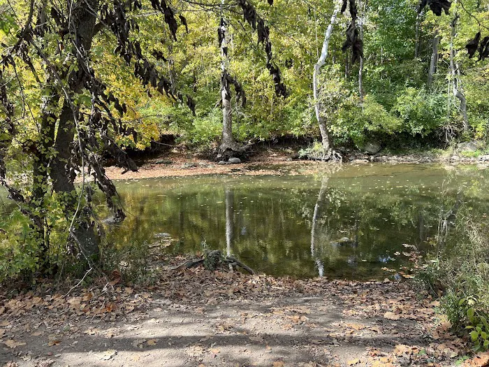 Prairie Oaks Dog Beach 5