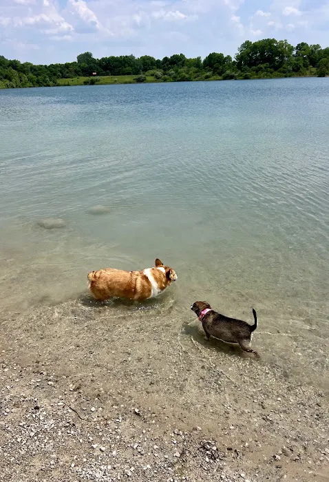 Prairie Oaks Dog Beach 2