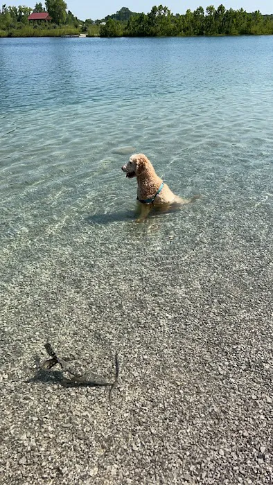 Prairie Oaks Dog Beach 8