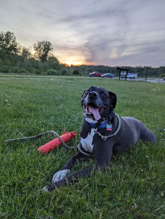 Prairie Oaks Dog Beach 7