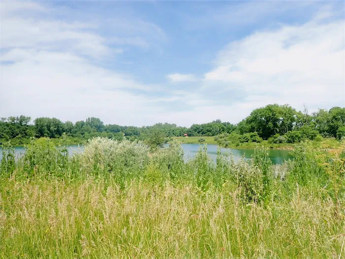 Prairie Oaks Dog Beach 6