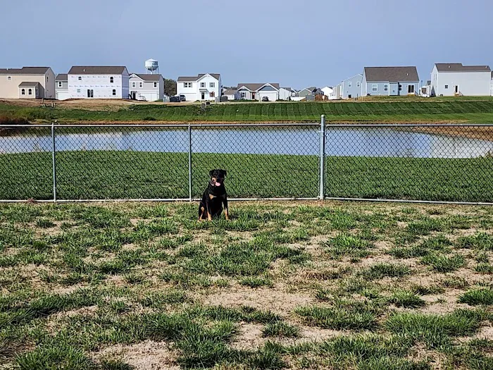 Bark Park 1
