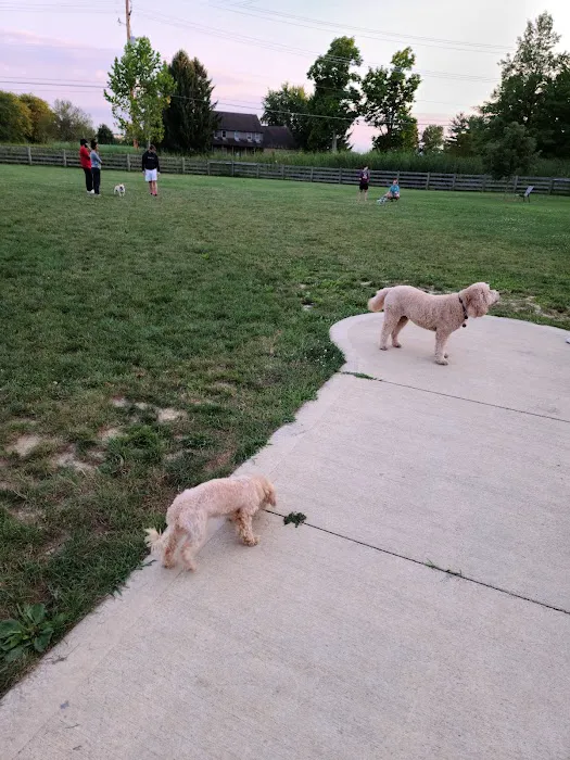 Rocky Fork Dog Park 3