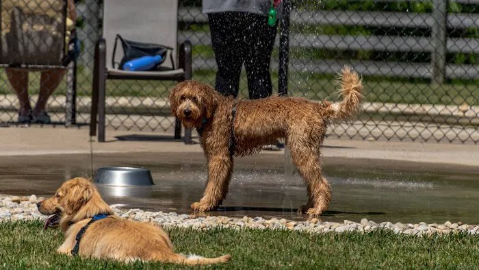 Rocky Fork Dog Park 2