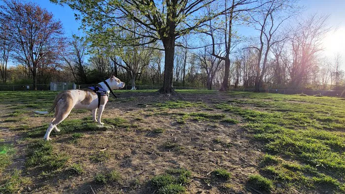 Friends of Alum Creek Dog Park 3