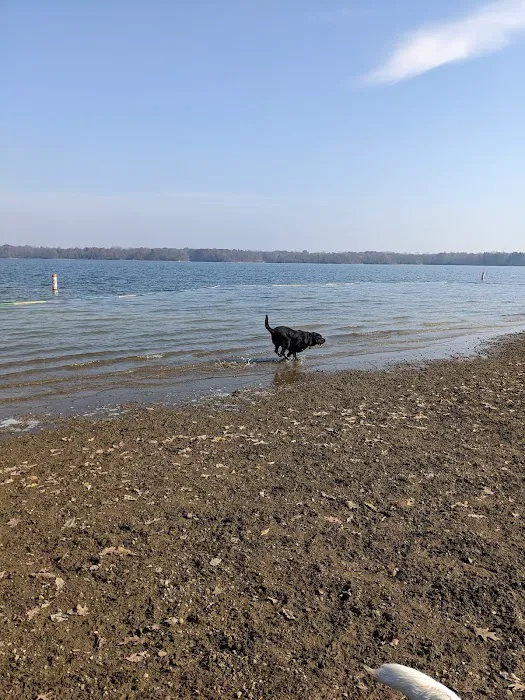 Friends of Alum Creek Dog Park 2