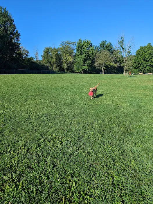 Friends of Alum Creek Dog Park 10