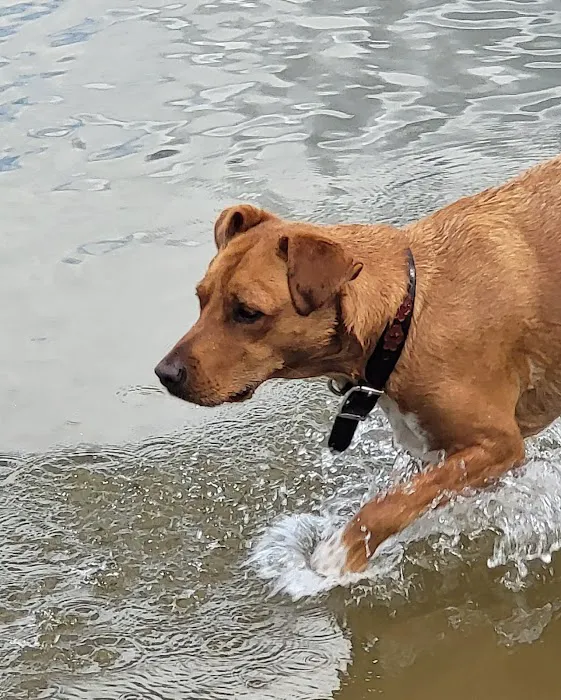 Friends of Alum Creek Dog Park 7