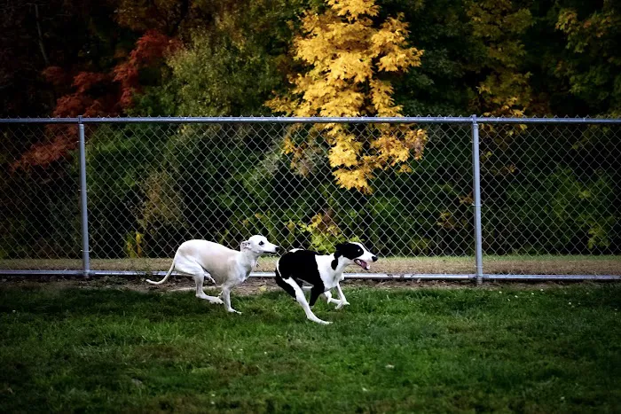 Friends of Alum Creek Dog Park 8