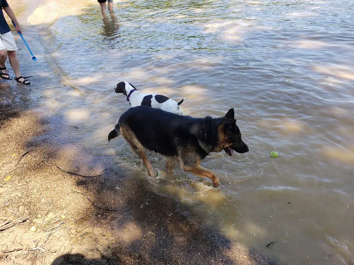 Friends of Alum Creek Dog Park 6