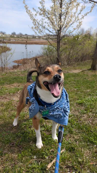 Delaware City Dog Park 9