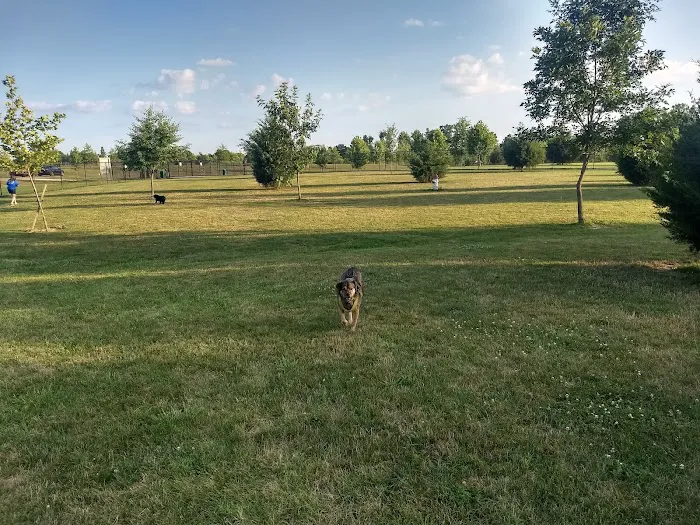 Delaware City Dog Park 10