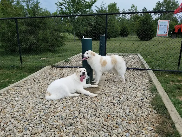 Delaware City Dog Park 7