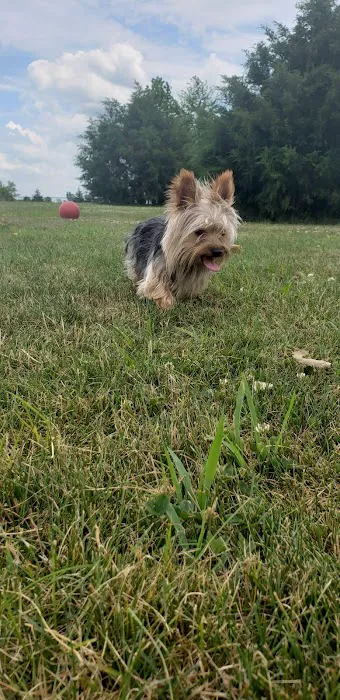 Delaware City Dog Park 2