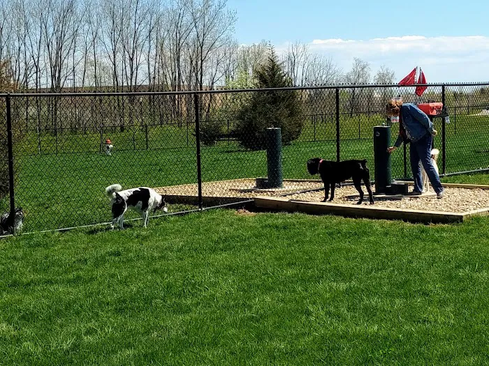Delaware City Dog Park 5