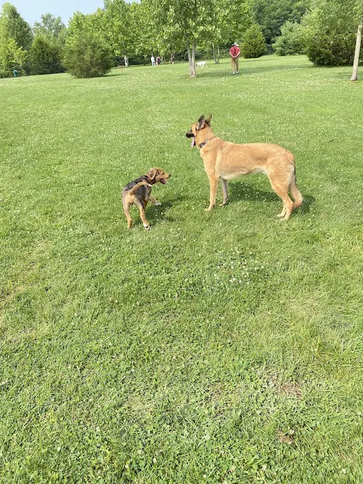 Delaware City Dog Park 1