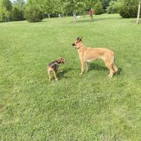 Delaware City Dog Park ico