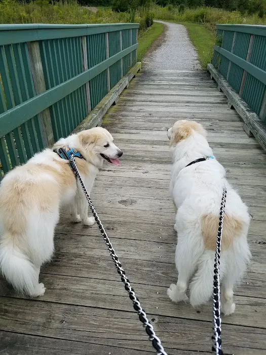 Delaware City Dog Park 4