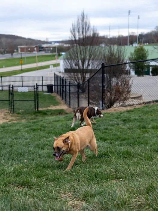 Fairfield Area Humane Society Public Dog Park 5