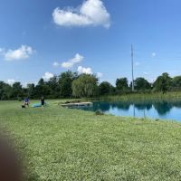 Mutt's Paradise AmuseMutt Park & Dog Training Center ico
