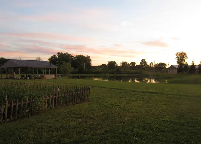 Mutt's Paradise AmuseMutt Park & Dog Training Center 10