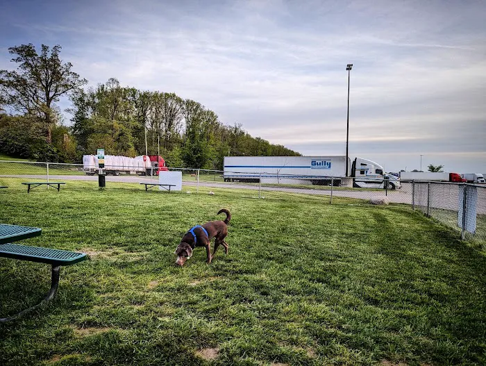 Dog Park at Love's Travel Stops 1